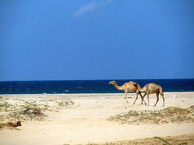 Playa en Somalilandia