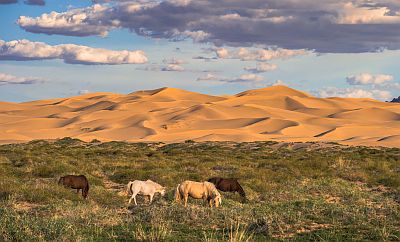 Desierto de Gobi