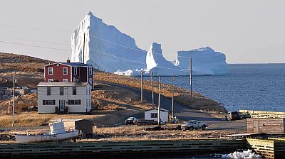 Iceberg en Terranova