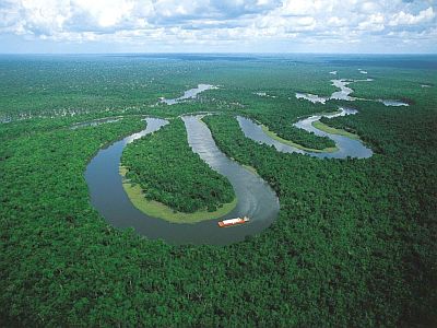 Selva amazónica en el área de Iquitos