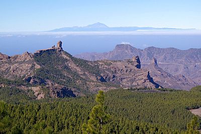 Paisae desde el Pico de las Nieves, Teide en el fondo