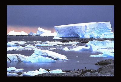 Iceberg en la Antártida
