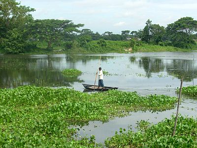 Bangladés