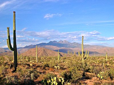 Desierto de Sonora, paisaje