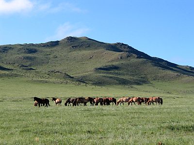 Estepa en Mongolia