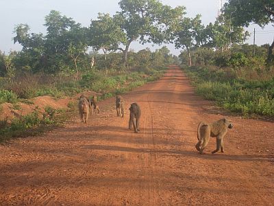 Norte de Ghana