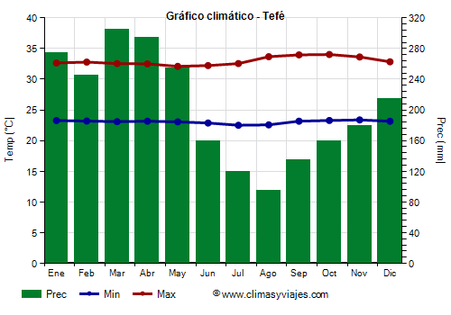 Gráfico climático - Tefé (Amazonas)