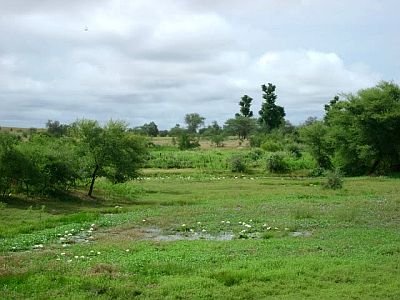 Guidimakha, paisaje estival