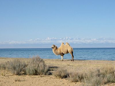 Lago Issyk-Kul