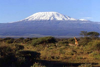 Kilimanjaro