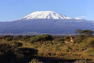 Kilimanjaro