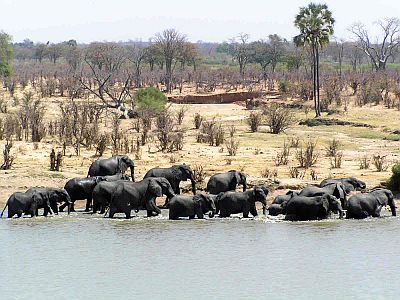 Parque Nacional Kruger