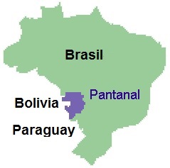 Pantanal, donde está
