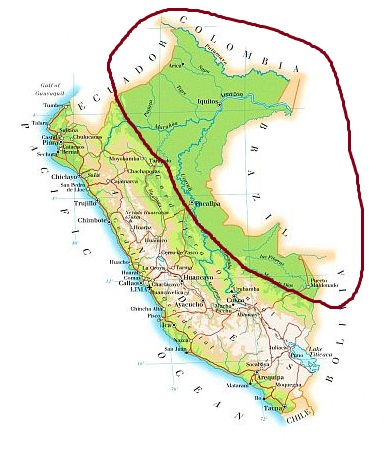 Perú, clima de la selva amazónica