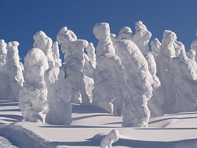 Monstruos de nieve en el Monte Zao
