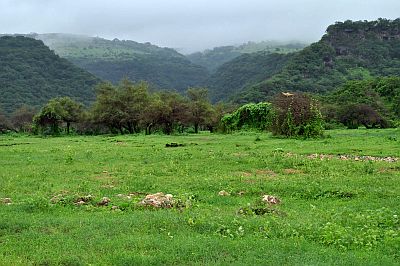 Montañas Dhofar