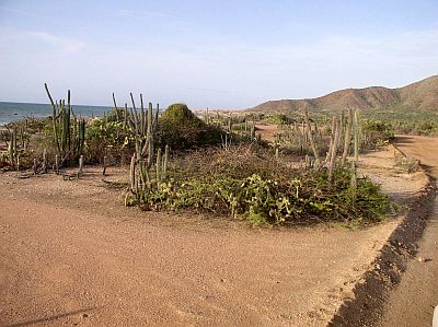 Península de Macanao