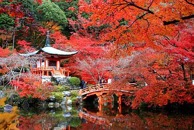 Templo en otoño en Kioto