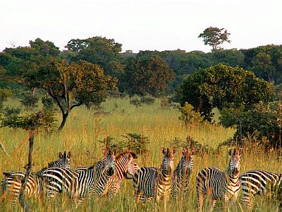 Parque nacional Kafue